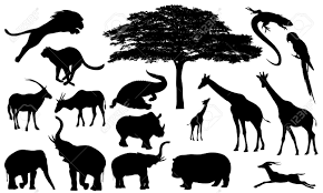 Afbeeldingsresultaat Voor Afrikaanse Dieren Zwart Animal Silhouette African Animals African Wildlife