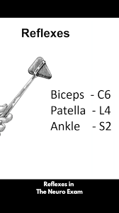 Image result for Reflex Exam