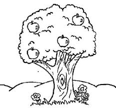 Learn the factors that go into selecting varieties of apple trees to grow. Pin On Etsy Mega Board