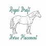 Draft Horse Placement from www.regaldrafthorseplacement.com