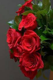 Pin By Melanie On Gullerim Beautiful Rose Flowers Beautiful Flowers Red Roses