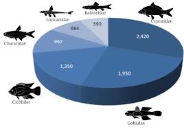 Freshwater Fish Diversity Iucn Freshwater Fish Specialist Group