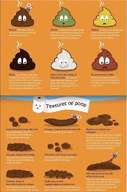 A Poop Chart Ofcoursethatsathing