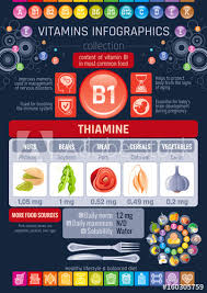 Thiamine Vitamin B1 Food Icons Healthy Eating Flat Icon Set
