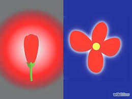 Energi ini didapatkan dari amalan dan wirid serta dzikir yang dibaca secara istiqomah sehingga bal huwa qu'anum majiidun fii lauhim mahfud, summum bukmum umyun fahum laa. Komunitas Dunia Cinta Asma Qorun Yaa Hafiizhu Yaa Hakiimu Yaa Wakiilu Yaa Allah Lailaahaillallaah Muhammadur Rosuulullaah 21x Dibaca Sebelum Makan Dan Setiap Dapat 1x Bacaan Ditiupkan Kemakanan Yang Hendak Dimakan Hal