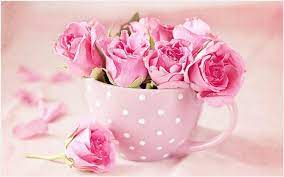 What Are The Qualities To Look For In A Spouse Rose Flower Wallpaper Flower Wallpaper Rose Wallpaper