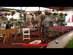 Amores Verdaderos El Accidente De Liliana Youtube