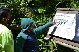 At woodland park zoo, the impact of legacy gifts is seen all over the zoo. Parent Review Go Visit The Reopened Woodland Park Zoo Seattle S Child