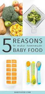 Ultimate Guide On How To Make Homemade Baby Food Baby Foode