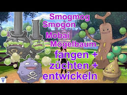 Watch all of smogmog11's best archives, vods, and highlights on twitch. Smogon Galar Smogmog Mobai Mogelbaum Fangen Entwickeln Zuchten Pokemon Schwert Und Schild Youtube