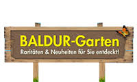 Maybe you would like to learn more about one of these? Baldur Garten Gutschein Juni 2021 5 Gutscheincode
