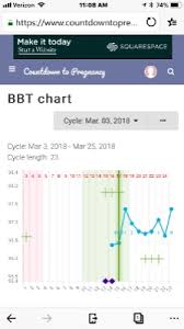 Implantation Dip And Temp Spike Bbt Chart Possible