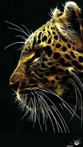 We have 61+ background pictures for you! Cute Animals Wallpapers 4k Ultra Hd For Android Apk Download