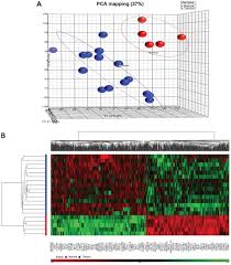 Since 1990's, the number of women who have died of breast cancer has steadily decreased thanks to early detection and treatment improvements. Exploring Breast Carcinogenesis Through Integrative Genomics And Epigenomics Analyses