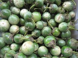 Chef Heidi Fink Leads Culinary Tour of Victoria's Chinatown