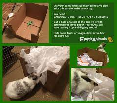 Pin On Diy Bunny Toys