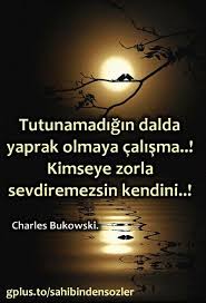 Tutunamadigin Dalda Yaprak Olmaya Calisma Kimseye Zorla Sevdiremezsin Kendini Charles Bukowski Charles Bukowski Bukowski Ozlu Sozler