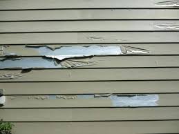 Can you paint plastic siding. Painting Vinyl Siding On A House Painting Inspired