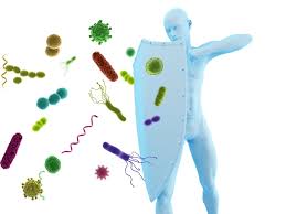 In den letzten jahren haben rote beete, auch als beta vulgaris rubra bekannt. Eisenmangel Naturlich Beheben Mit Rote Beete Gesundheit