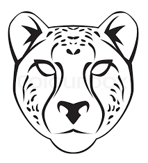 hindi how to draw tiger from 553 number step by step easy drawing for kids. Cheetah Face Stock Vector Colourbox