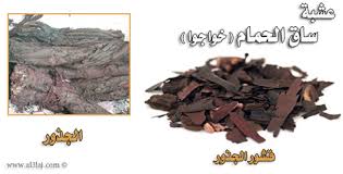 تفاصيل مكونات علاج الشرخ الشرجي