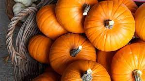 Imagenes de cuentos y películas (1). Calabaza Todas Las Propiedades Y Beneficios De La Reina Del Otono