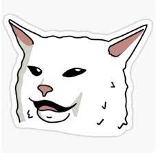 Aesthetic Sticker Confused Cat Meme Sketch Woman Yelling At Cat Redbubble Cat Stickers Cat Memes Aesthetic Memes
