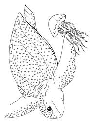 100% free summer coloring pages. 39 Pool Party Pics Ideas Coloring Pages Coloring Pages For Kids Printable Coloring Pages