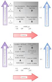 Image result for COPD Assessment Test