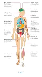 The Effects Of Multiple Sclerosis On Your Body