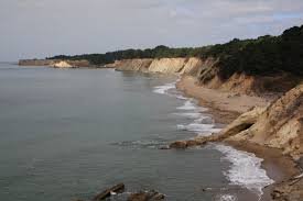 Bowling Ball Beach Point Arena Ca California Beaches