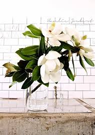 Visit us for the widest range of flowers all available for home delivery. Hanlie Joubert Photography White Magnolia Pretty Flowers Flower Arrangements White Flowers