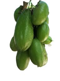 Belimbing wuluh memiliki banyak manfaat untuk kesehatan, mulai dari buah, daun hingga batang mudanya. 5 Khadsiat Dan Manfaat Belimbing Wuluh Untuk Kesehatan Woroanyar