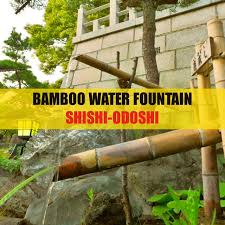 We did not find results for: Bamboo Water Fountain Shishi Odoshi Album By Acerting Art Spotify