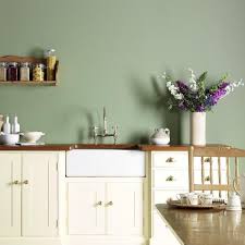 Eco Green Kitchen Green Kitchen Walls Green Kitchen Decor Kitchen Wall Colors