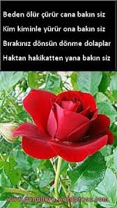 Ummeti Muhammedin Fazileti 2020 Abla Sozleri Zulum Sifa Duasi
