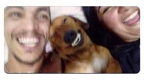 The Salt Shop Cinnamon Rolls pictures will continue until morale improves