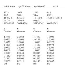 Image result for Brachychloa schiemanniana