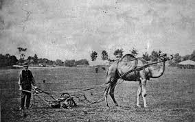 Millions of people in the state, which rarely experiences such low temperatures, have been struggling to cope with the lack of power and frigid conditions. Joe Herring Jr What Happened To The Camp Verde Camels Here S Where 14 Ended Up