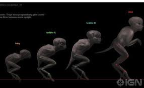 Splice: The Evolution of Dren - IGN | Creature movie, 2009 ...
