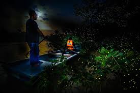 Spectacular nature night show (don't miss out!) byjanice yong march 18, 2021march 20, 2021. Kuala Selangor Firefly Tour Include Seafood Dinner And Boat Ride La Vacanza Travel