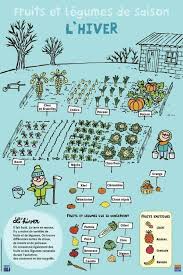 Legumes Hiver Jardin Potager Jardinage Potager Potager