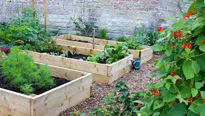 Whether it's messy, really formal, modern, cottage or somewhere in between and i only bring this up because it's where i see most beginner gardeners looking for advice on how to landscape their yard from scratch. How To Start A Sustainable Home Garden Active