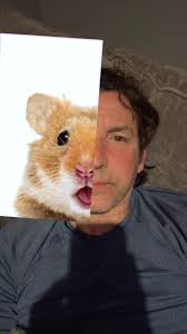 Gregory Angel (@gregoryangel444)