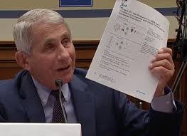 Frank Servello's Instagram, Twitter & Facebook