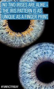 Pin On Vision Facts