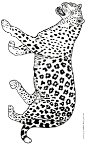 Jaguar coloring page 23 march 2021 do you like article or image about jaguar coloring page? Jaguar Color Page Cheetah Coloring Page Animal Coloring Pages Art Drawings For Kids
