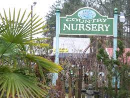 Down home country cooking, the owners claim they cook like it's always sunday… Mcqueen S Nursery Landscaping Inc Home Facebook