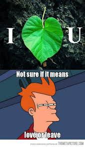 That S Certainly Confusing Funny Funny Pictures Humor