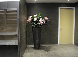 Pin Op Artificial Plants In Swimming Pools